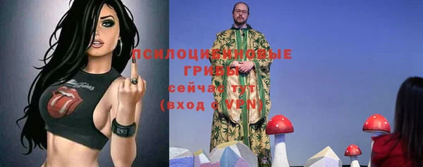 бошки Бугульма