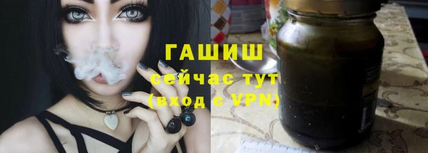 PSILOCYBIN Бородино