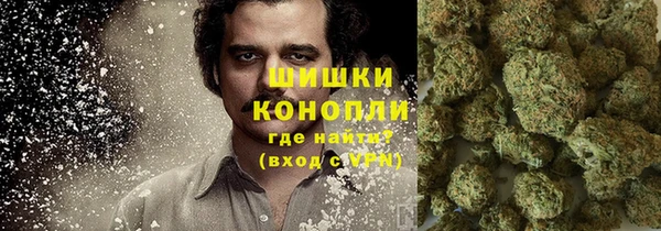 PSILOCYBIN Бородино
