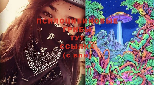 PSILOCYBIN Бородино