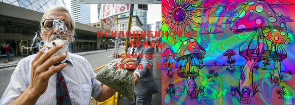 твердый Аркадак