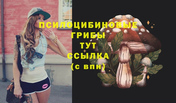 бошки Бугульма