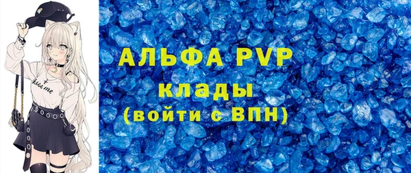 PSILOCYBIN Бородино