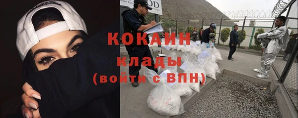 молекула духа Богородск