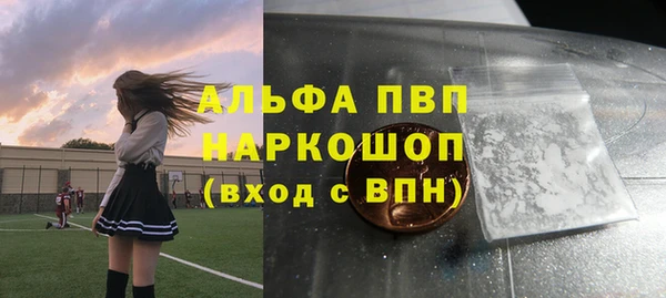 первитин Богданович