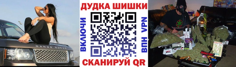 где купить наркоту  Теберда  Шишки марихуана индика 